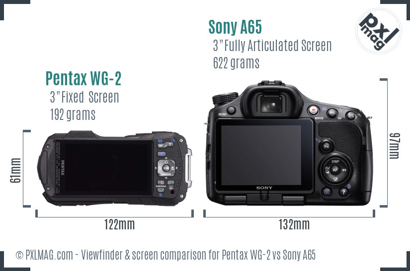 Pentax WG-2 vs Sony A65 Screen and Viewfinder comparison
