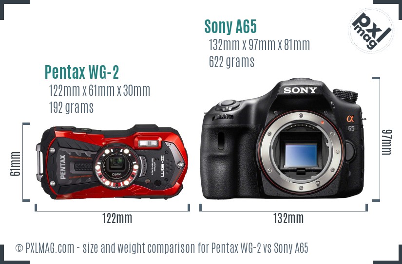 Pentax WG-2 vs Sony A65 size comparison Pentax WG-2 vs Sony A65 size comparison