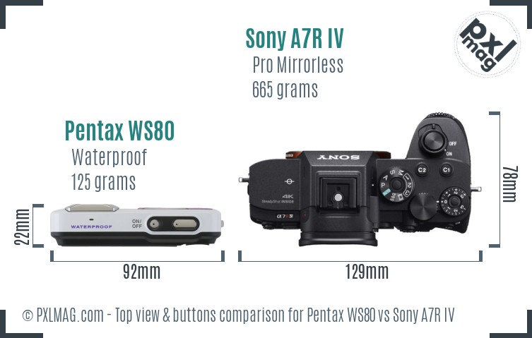 Pentax WS80 vs Sony A7R IV top view buttons comparison