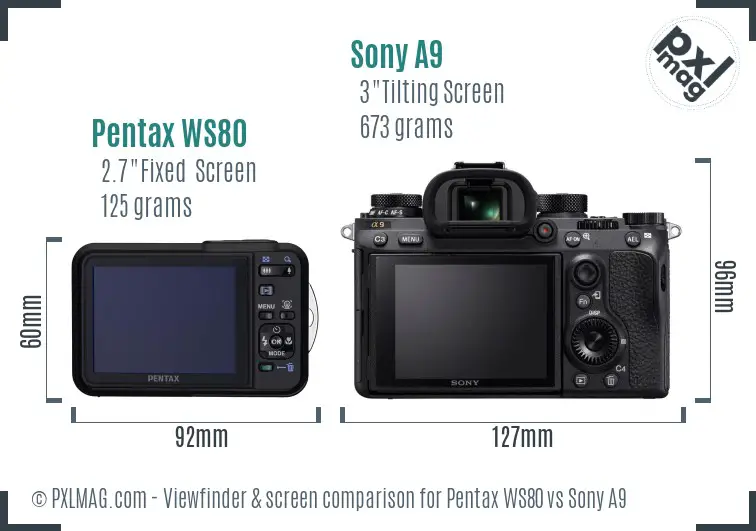 Pentax WS80 vs Sony A9 Screen and Viewfinder comparison Pentax WS80 vs Sony A9 Screen and Viewfinder comparison