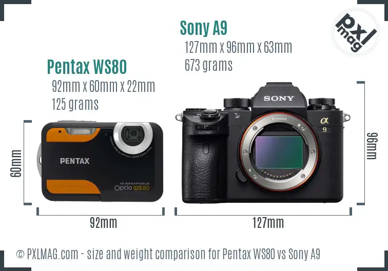 Pentax WS80 vs Sony A9 size comparison Pentax WS80 vs Sony A9 size comparison