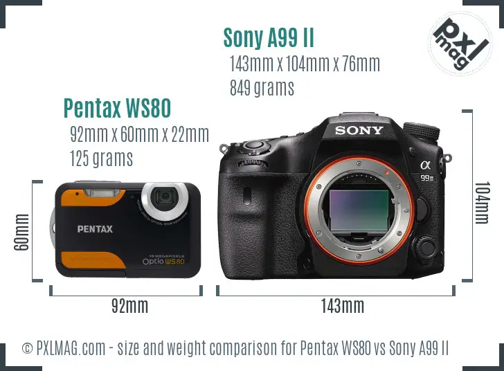 Pentax WS80 vs Sony A99 II size comparison Pentax WS80 vs Sony A99 II size comparison