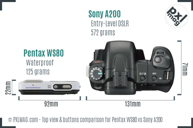 Pentax WS80 vs Sony A200 top view buttons comparison Pentax WS80 vs Sony A200 top view buttons comparison
