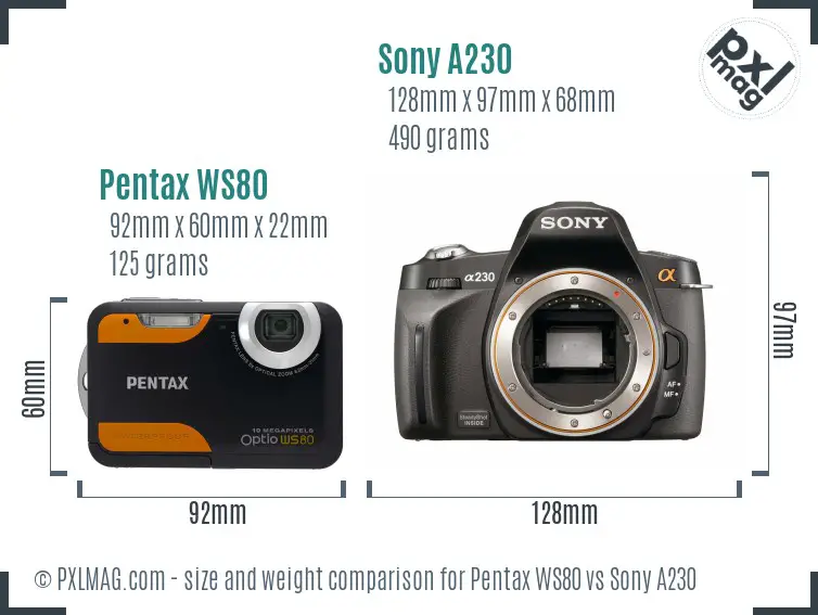 Pentax WS80 vs Sony A230 size comparison