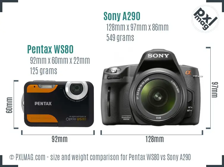 Pentax WS80 vs Sony A290 size comparison Pentax WS80 vs Sony A290 size comparison