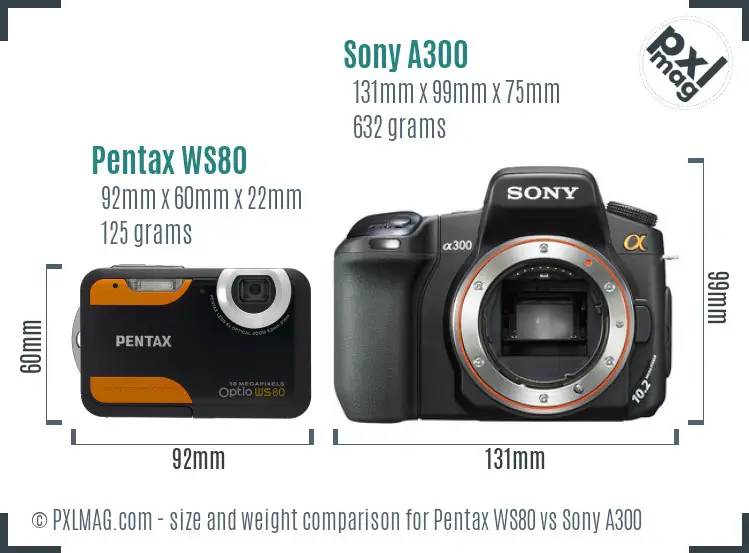 Pentax WS80 vs Sony A300 size comparison