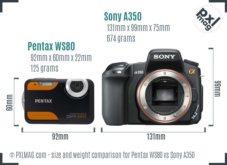 Pentax WS80 vs Sony A350 size comparison
