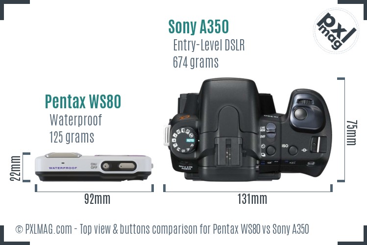 Pentax WS80 vs Sony A350 top view buttons comparison