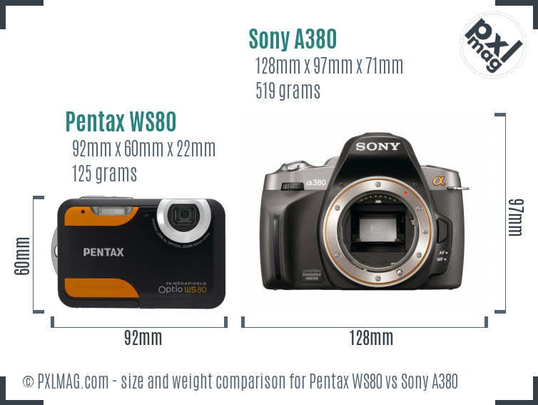 Pentax WS80 vs Sony A380 size comparison Pentax WS80 vs Sony A380 size comparison