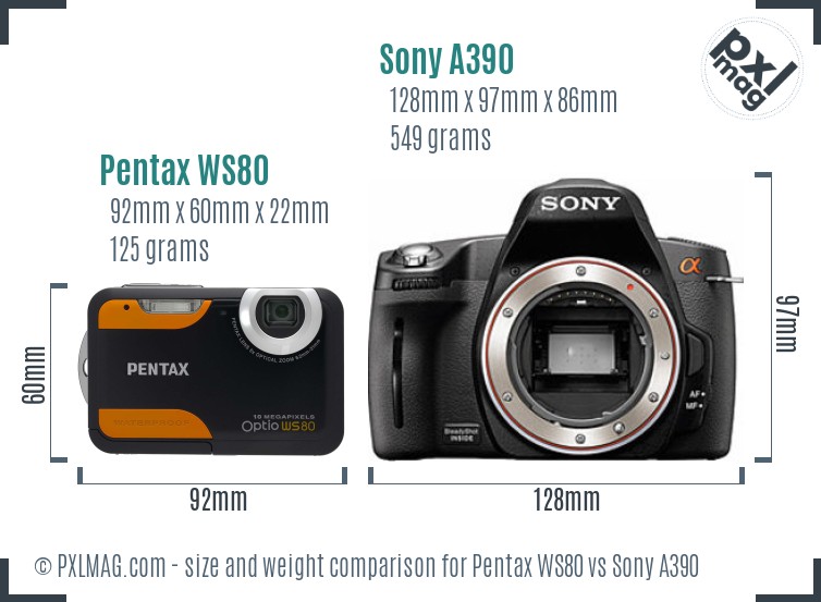 Pentax WS80 vs Sony A390 size comparison