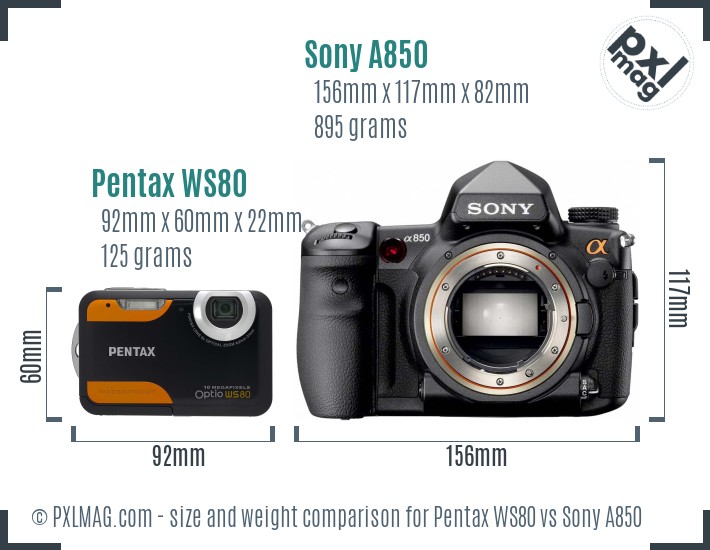 Pentax WS80 vs Sony A850 size comparison Pentax WS80 vs Sony A850 size comparison