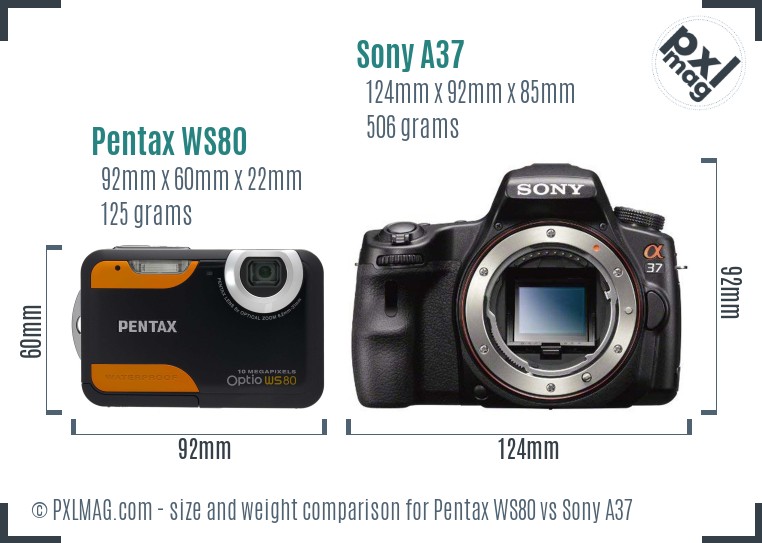 Pentax WS80 vs Sony A37 size comparison