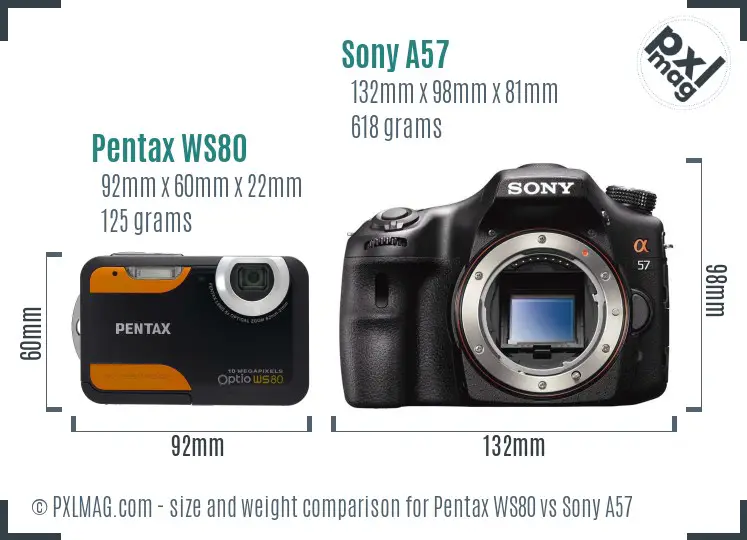 Pentax WS80 vs Sony A57 size comparison