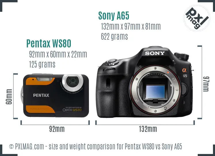 Pentax WS80 vs Sony A65 size comparison