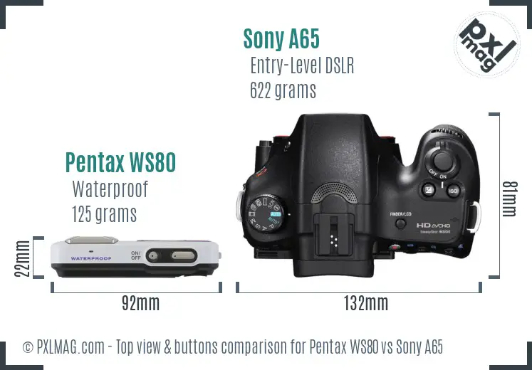 Pentax WS80 vs Sony A65 top view buttons comparison