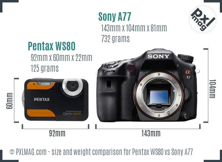 Pentax WS80 vs Sony A77 size comparison
