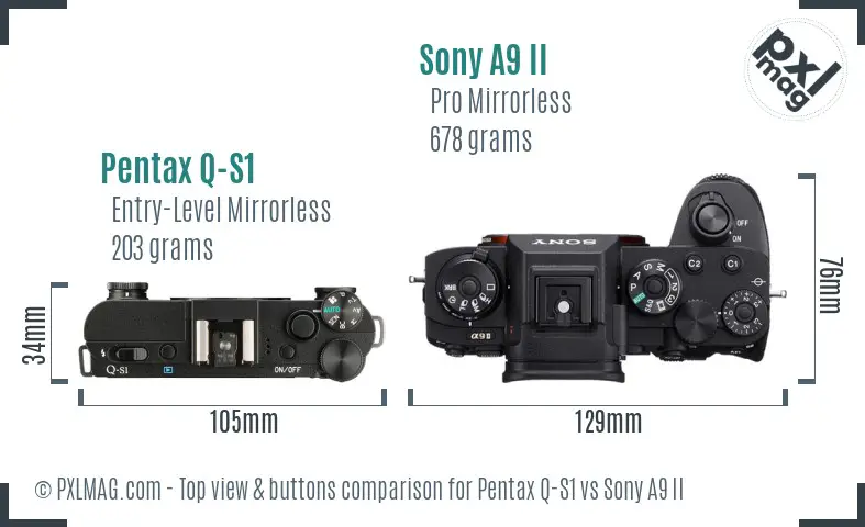 Pentax Q-S1 vs Sony A9 II top view buttons comparison Pentax Q-S1 vs Sony A9 II top view buttons comparison