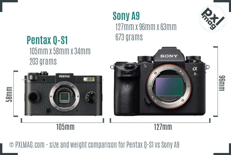 Pentax Q-S1 vs Sony A9 size comparison Pentax Q-S1 vs Sony A9 size comparison