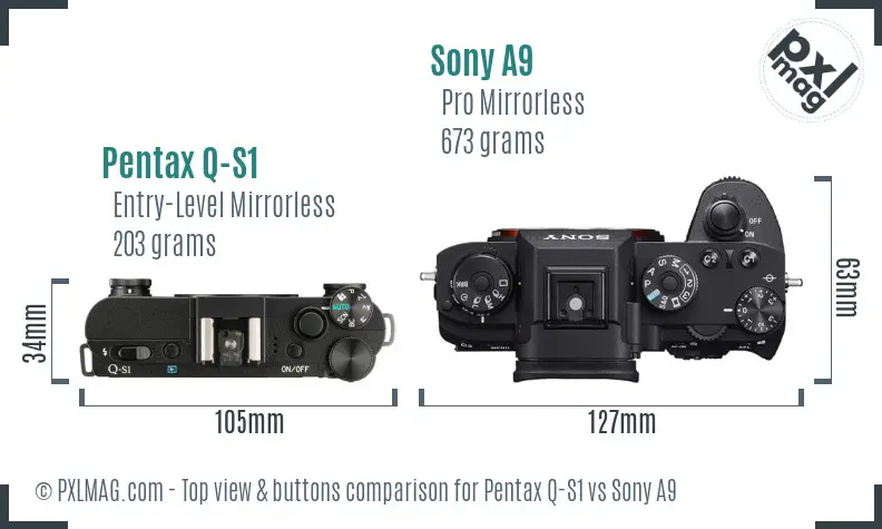 Pentax Q-S1 vs Sony A9 top view buttons comparison Pentax Q-S1 vs Sony A9 top view buttons comparison