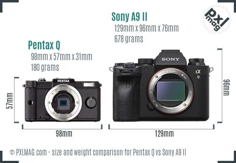Compact Pentax Q next to robust Sony A9 II, highlighting ergonomic differences