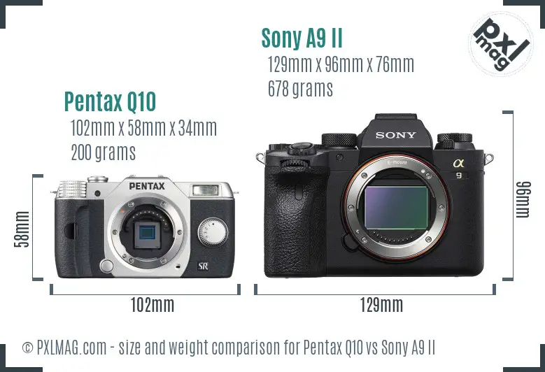 Pentax Q10 vs Sony A9 II size comparison