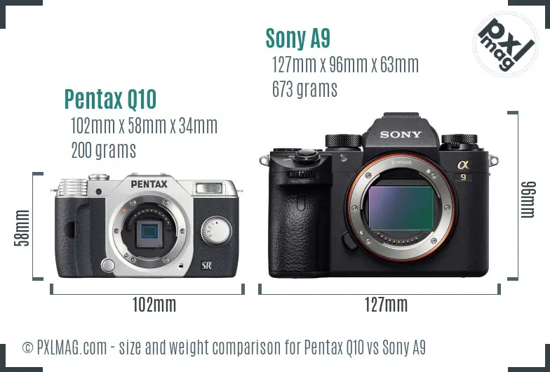Pentax Q10 vs Sony A9 size comparison