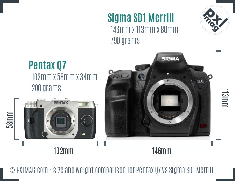Pentax Q7 vs Sigma SD1 Merrill size comparison Pentax Q7 vs Sigma SD1 Merrill size comparison