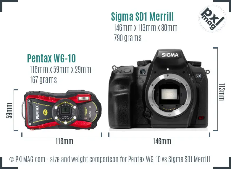 Pentax WG-10 vs Sigma SD1 Merrill size comparison