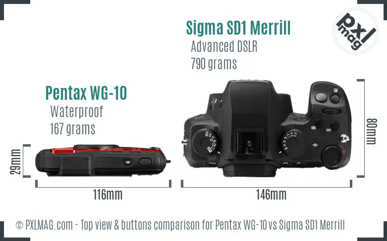 Pentax WG-10 vs Sigma SD1 Merrill top view buttons comparison