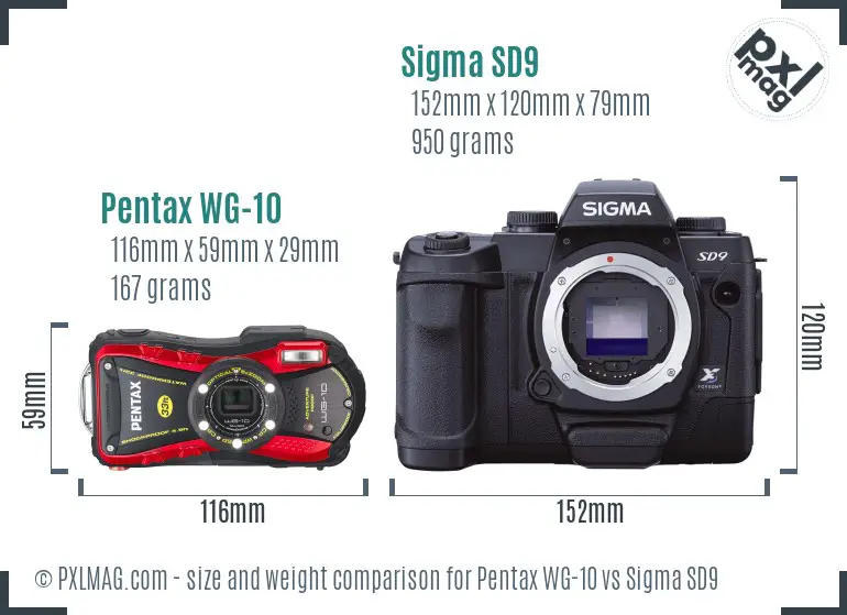 Pentax WG-10 vs Sigma SD9 size comparison