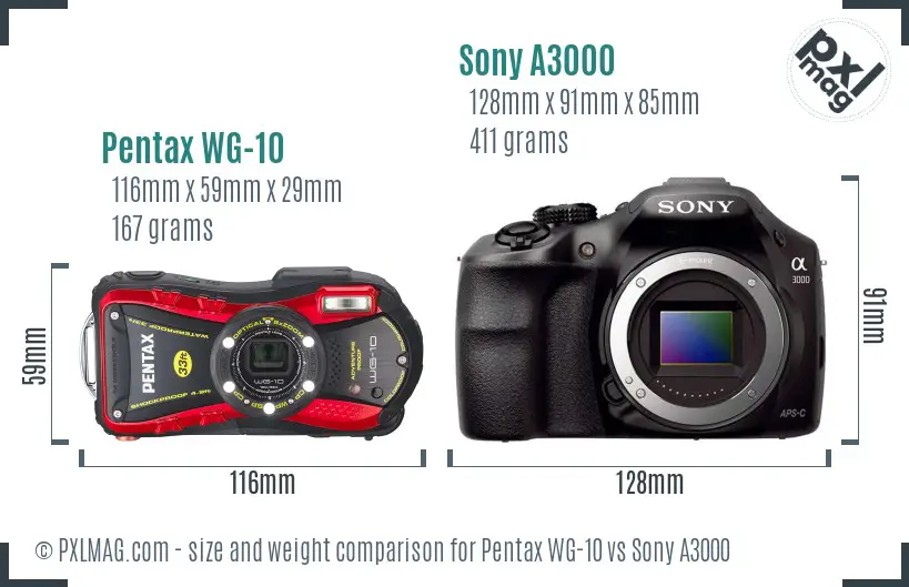 Pentax WG-10 vs Sony A3000 size comparison