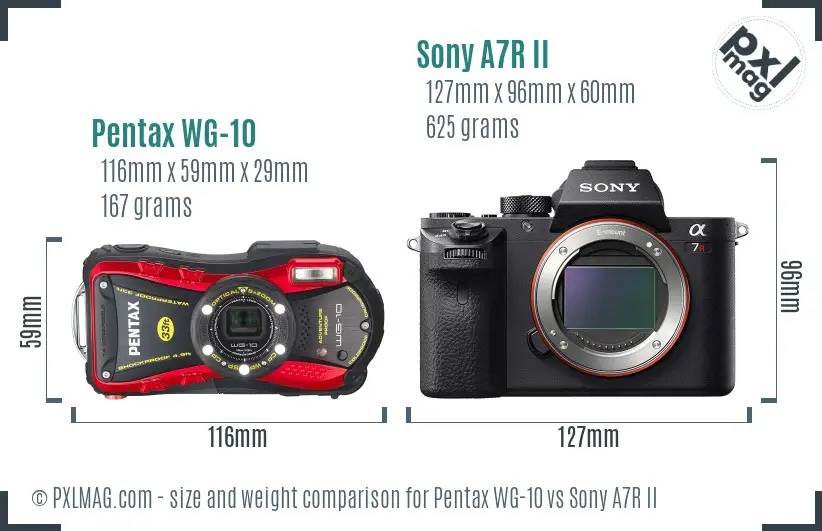 Pentax WG-10 vs Sony A7R II size comparison