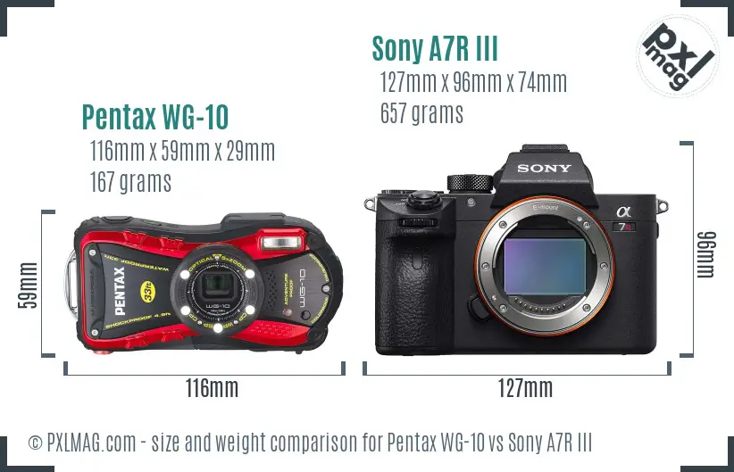 Pentax WG-10 vs Sony A7R III size comparison