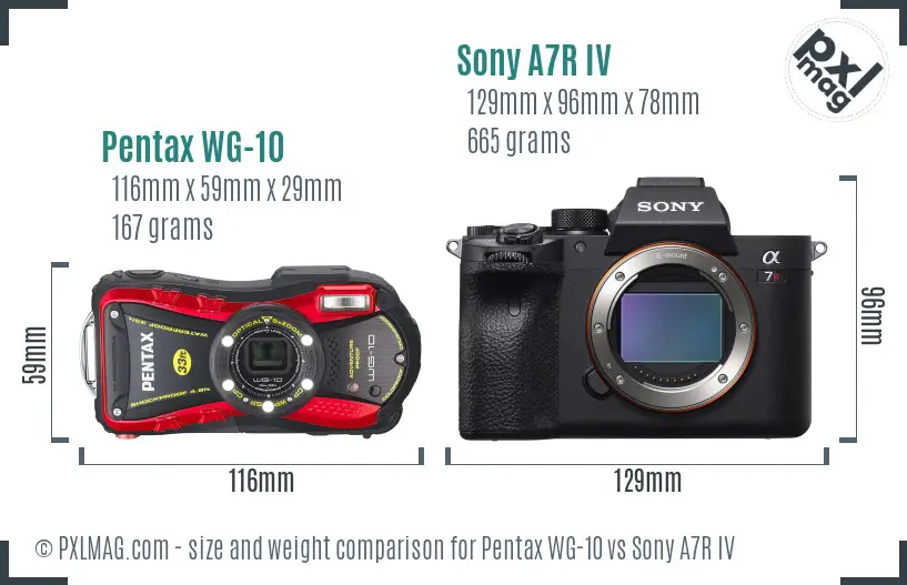 Pentax WG-10 vs Sony A7R IV size comparison