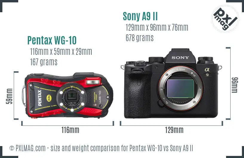 Pentax WG-10 vs Sony A9 II size comparison