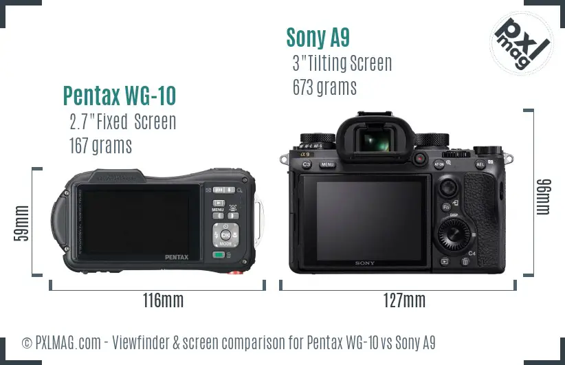 Pentax WG-10 vs Sony A9 Screen and Viewfinder comparison