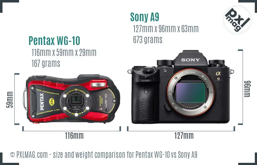 Pentax WG-10 vs Sony A9 size comparison