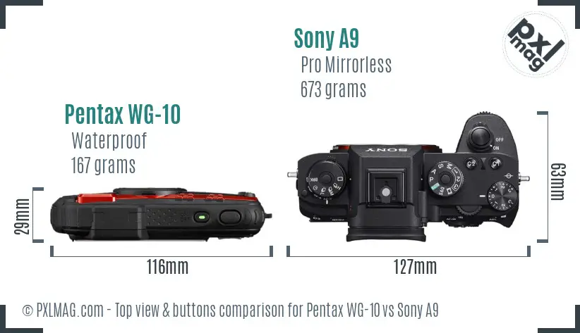 Pentax WG-10 vs Sony A9 top view buttons comparison