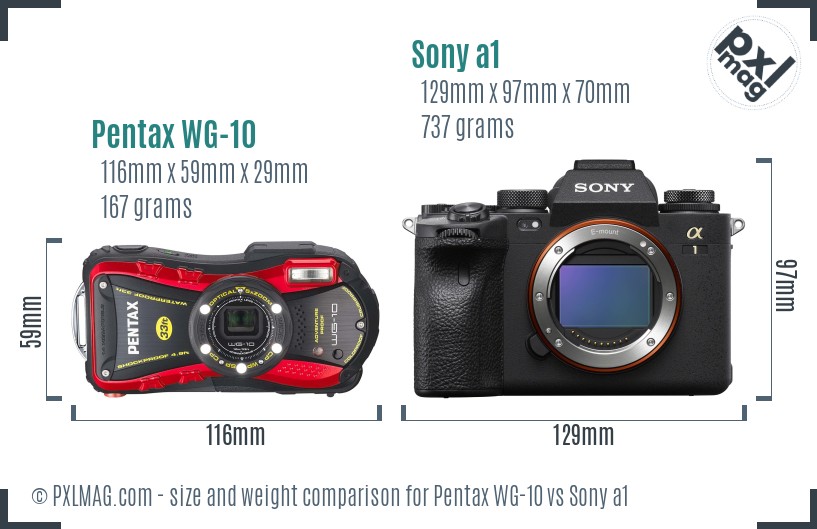 Pentax WG-10 vs Sony a1 size comparison