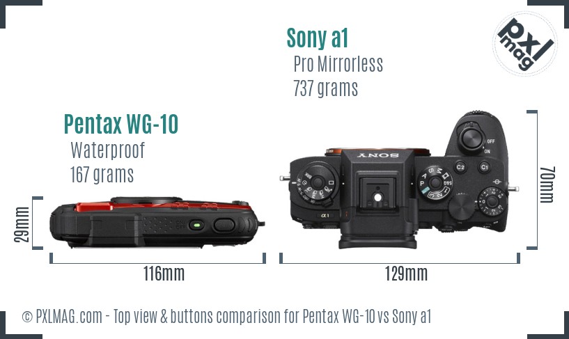 Pentax WG-10 vs Sony a1 top view buttons comparison