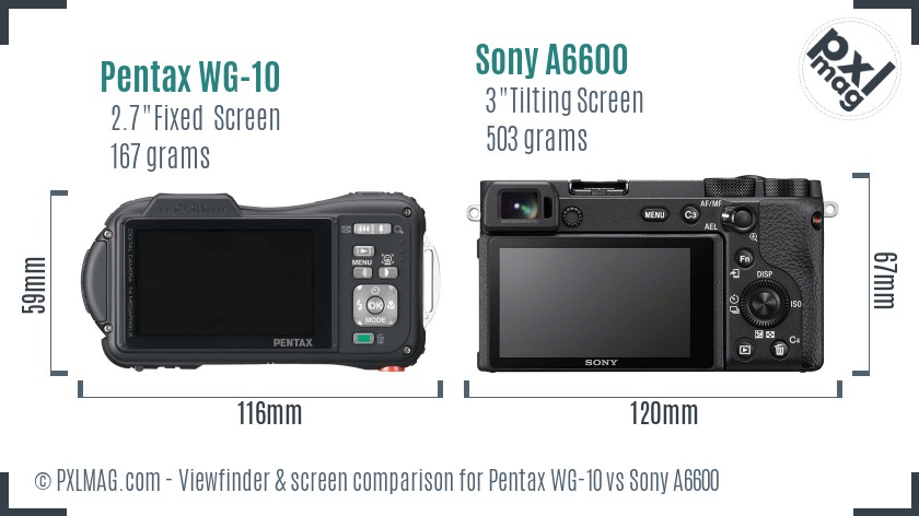 Pentax WG-10 vs Sony A6600 Screen and Viewfinder comparison