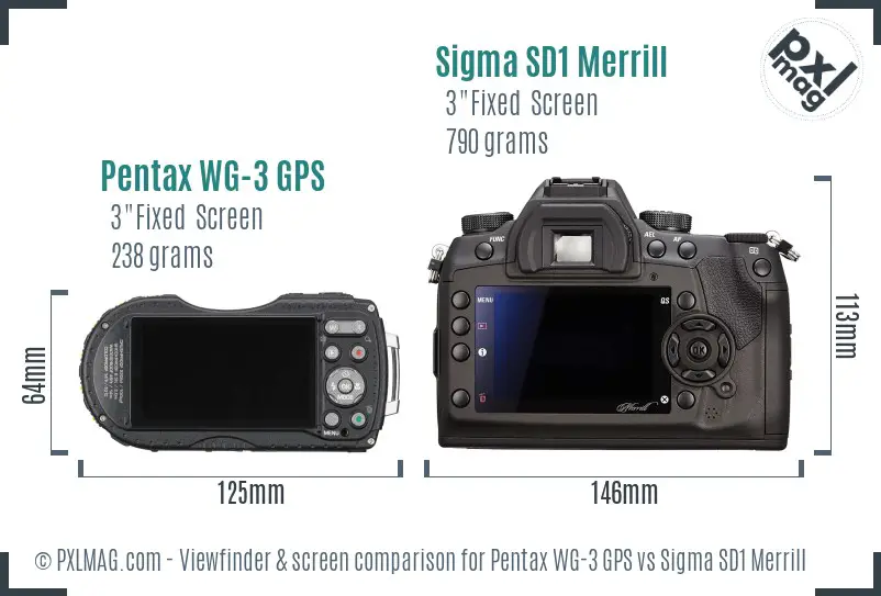 Pentax WG-3 GPS vs Sigma SD1 Merrill Screen and Viewfinder comparison