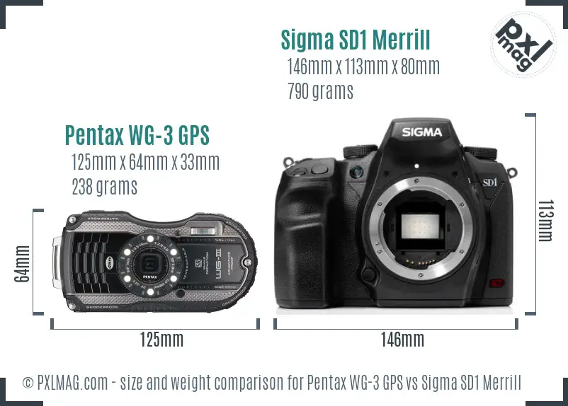 Pentax WG-3 GPS vs Sigma SD1 Merrill size comparison