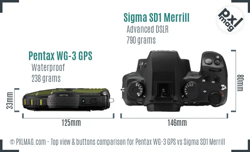 Pentax WG-3 GPS vs Sigma SD1 Merrill top view buttons comparison