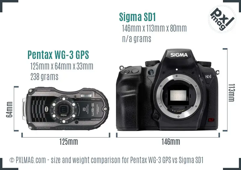 Pentax WG-3 GPS vs Sigma SD1 size comparison Pentax WG-3 GPS vs Sigma SD1 size comparison
