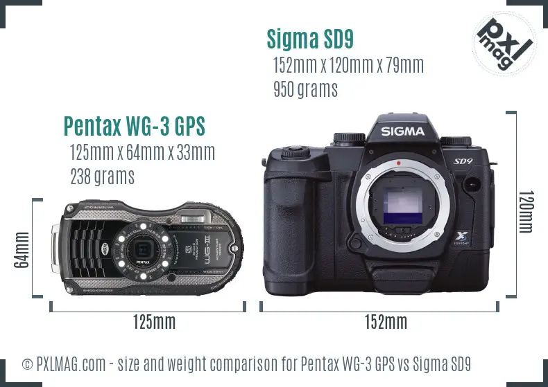 Pentax WG-3 GPS vs Sigma SD9 size comparison