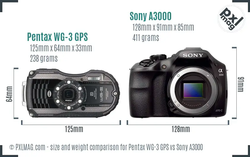Pentax WG-3 GPS vs Sony A3000 size comparison