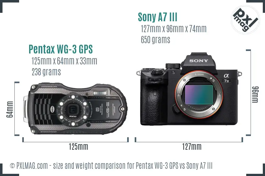 Pentax WG-3 GPS vs Sony A7 III size comparison