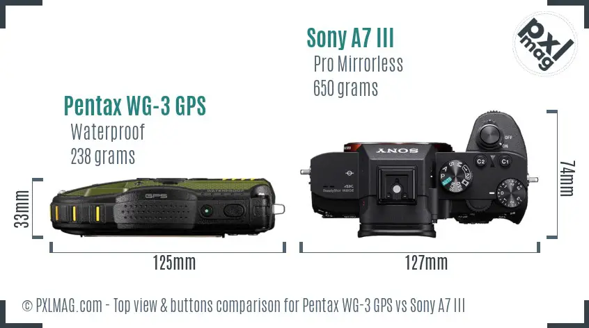 Pentax WG-3 GPS vs Sony A7 III top view buttons comparison