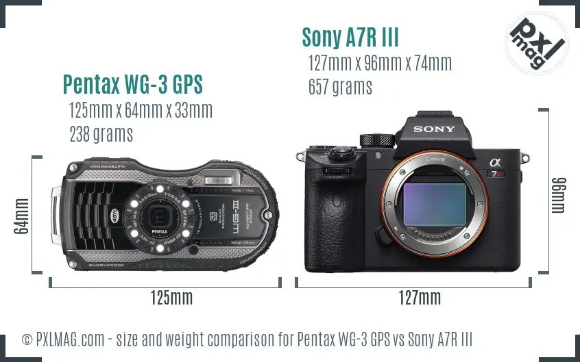 Pentax WG-3 GPS vs Sony A7R III size comparison